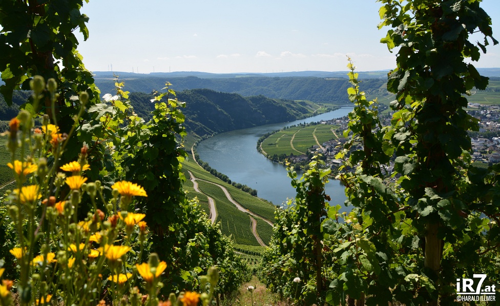 Foto: Harald Illmer, www.ir7.at