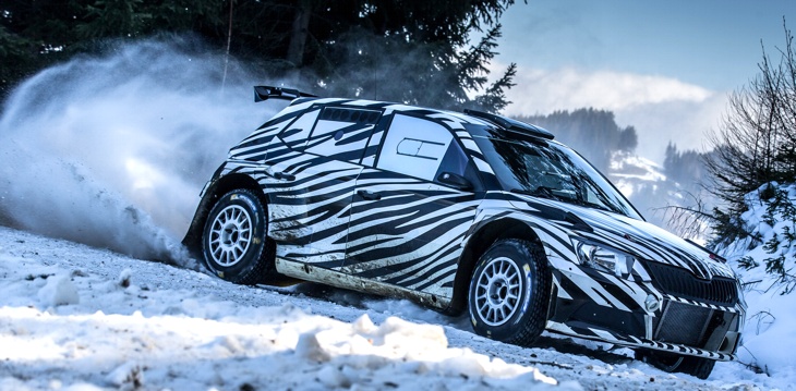 Fotos: Skoda Motorsport